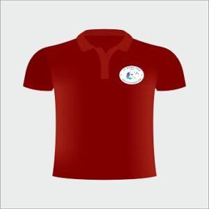 IIT iHub- Collared Tshirt